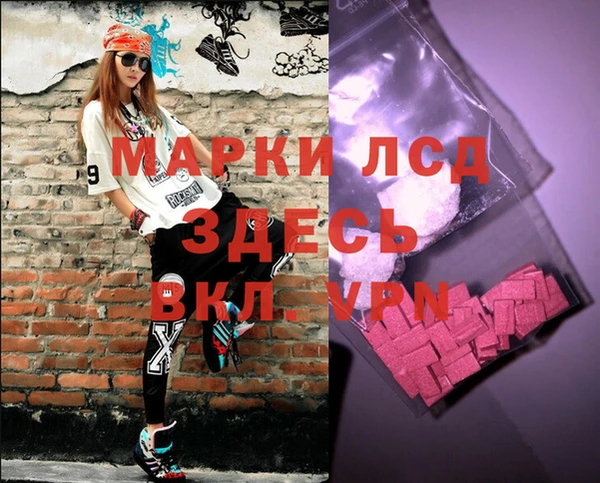 прущие грибы Алзамай