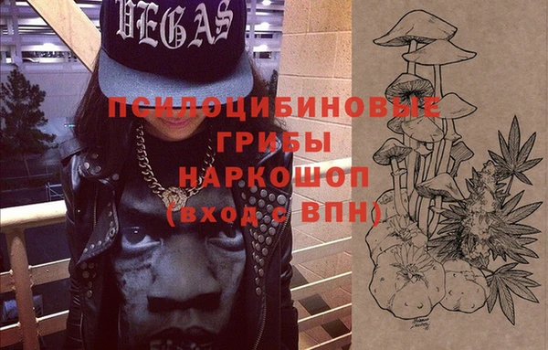 прущие грибы Алзамай
