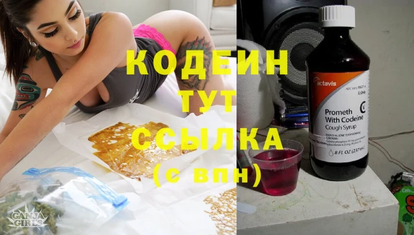 прущие грибы Алзамай