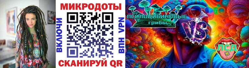 Псилоцибиновые грибы Psilocybe  Архангельск 